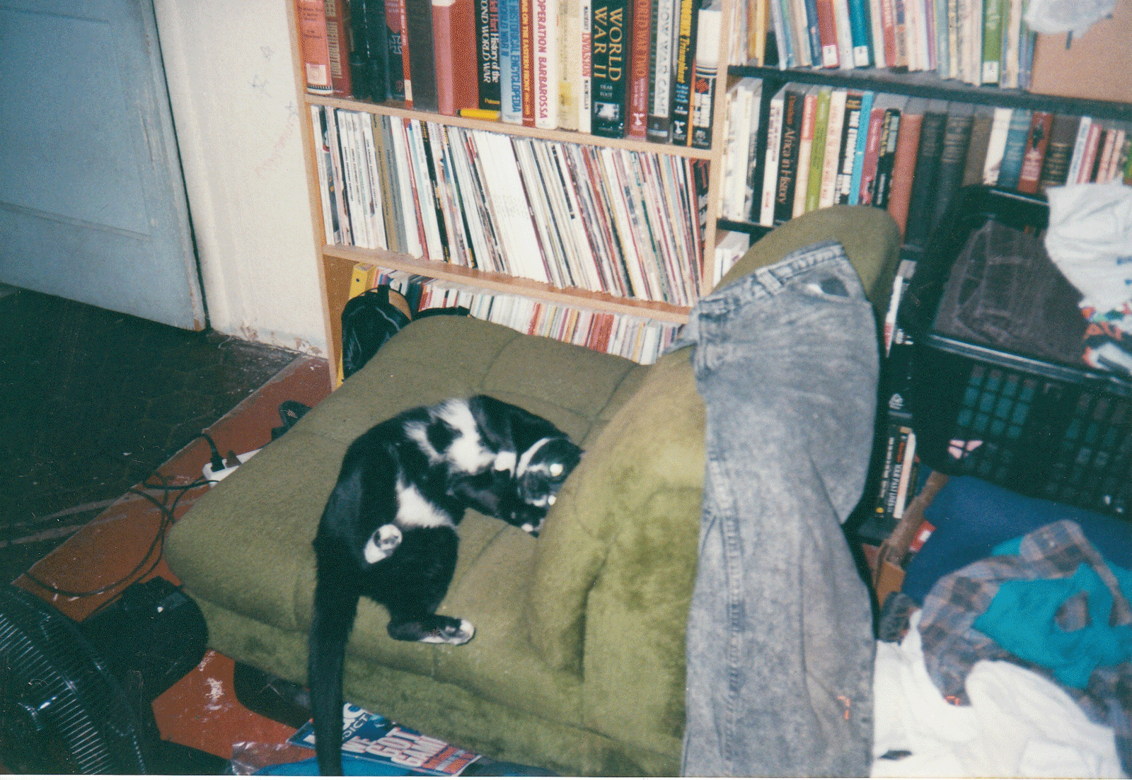 My Tuxedo Cat, Wuerffel in the late 90s and early 2000s